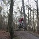 IMG 1452