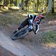 IMG 4124