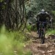 Auf schnellen, rumpeligen Trails sorgt das Jeffsy für viel Sicherheit.