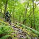 20240511-04L Lockwitzgrund