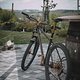 SingleBe - NoisyBee - Custom 29er