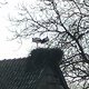 Winterpokal-Aktivität