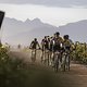 David SCHÖGGL during Stage 4 of the 2025 Absa Cape Epic Mountain Bike stage race held at Fairview, Paarl, Cape Town, South Africa on the 20th March 2025. Photo by Nick Muzik/Cape Epic
PLEASE ENSURE THE APPROPRIATE CREDIT IS GIVEN TO THE PHOTOGRAPHER 