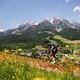 2735134-d5m4mwz4rzn9-mtbnews de23 leogangxco 3850-original