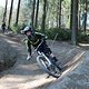 IMG 8895