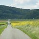 DSCN0933