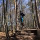 Bike Beerfelden P 282