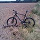 IMG00062-20100807-1331