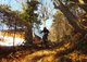downhill4