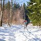 20150207-29L OstErzgebirge