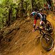 ews 2015 roturoa-15