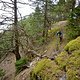 Empfehlenswerte Trails in Südtirol