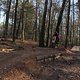 IMG 1792