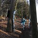 IMG 1858