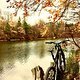 Herbst-Biken