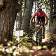 MTBNews Vallnord19 Finals-3316