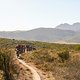 UCI Ladies during stage 1 of the 2021 Absa Cape Epic Mountain Bike stage race from Eselfontein in Ceres to Eselfontein in Ceres, South Africa on the 18th October 2021

Photo by Sam Clark/Cape Epic

PLEASE ENSURE THE APPROPRIATE CREDIT IS GIVEN TO THE
