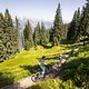Der neue „AlteSchmiede&quot; Trail führt auf 3,35 km über flowige Turns, Northshores und leicht technische Passagen.
