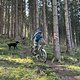 IMG 4927