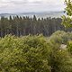Rain - DHC Willingen 2025