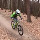IMG 3378