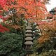 Planten un Blomen/Japanischer Garten