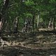 IMG 7111