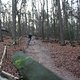 IMG 1237