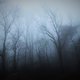Wienerwald im Nebel