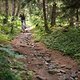 20160717-48L Goldsee Trail