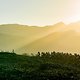 The lead bunch during stage 2 of the 2019 Absa Cape Epic Mountain Bike stage race from Hermanus High School in Hermanus to Oak Valley Estate in Elgin, South Africa on the 19th March 2019

Photo by Greg Beadle/Cape Epic

PLEASE ENSURE THE APPROPRI