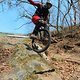 Dresdner Heide Projekt
