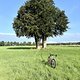 IMG 0606