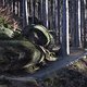 IMG 7337