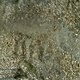 Dsc00228