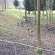 IMG 1095
