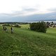 IMG 4792