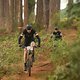 Bram Lambert and Bruno Vanhecke work their way along the trail during the Prologue of the 2019 Absa Cape Epic Mountain Bike stage race held at the University of Cape Town in Cape Town, South Africa on the 17th March 2019.

Photo by Shaun Roy/Cape E