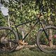 SingleBe - NoisyBee - Custom 29er