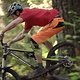 BikeFilmTour How-to-make-a-sick-Edit image04 ©MattDennison