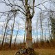 IMG 20250119 150122892 HDR
