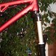 IMG 6057