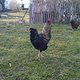 IMG00172-20110312-1518