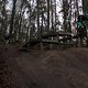 IMG 2025