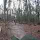 IMG 1197