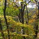 DSC03150