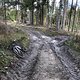 IMG 8021