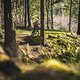 DSC01554-40-HQ