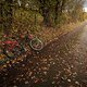 Aufbau39 (MTB-News)