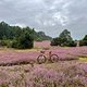 Ritchey Outback in der Heide